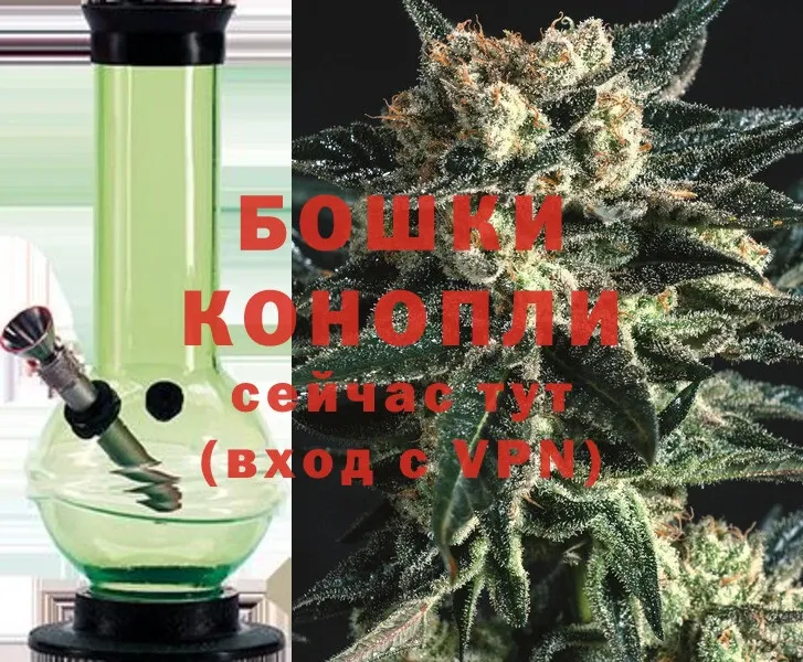 Бошки марихуана THC 21%  где найти   Кольчугино 